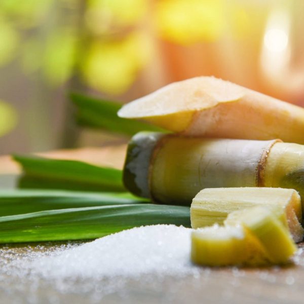 White sugar and sugar cane on wooden  table and nature background